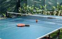 Stolní tenis v ubytování Beautiful Home In Kastel Kambelovac nebo okolí