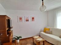 TV a/nebo společenská místnost v ubytování Apartments Vig