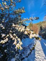 Le Chalet Cosy piscine et spa v zime