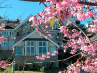 a house with pink flowers in front of it at Dreamtown in Ren&#39;ai