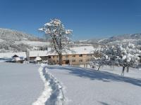 Schweizer Hof v zime