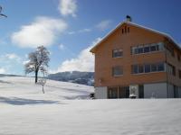 Schweizer Hof v zime