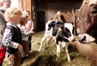 Zvieratá na farme alebo blízkom okolí