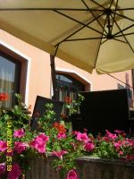 A garden outside Hotel Alexander