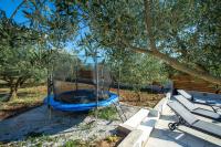 Zahrada ubytování MY DALMATIA - Holiday home Relax with private pool