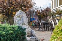 Κήπος έξω από το Rigiblick am See