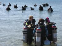 Oonas Dive Club vendégei