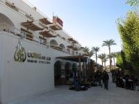 Oonas Dive Club vendégei