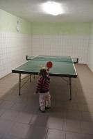 Stolní tenis v ubytování Pension Jitka nebo okolí