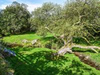 Zahrada ubytování Nant Y Crogwyn