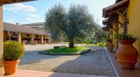 Vonkajšia záhrada v ubytovaní Agriturismo Arlena
