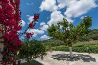 a tree in a garden with flowers at Pansion Porto Tsi Ostrias in Keri
