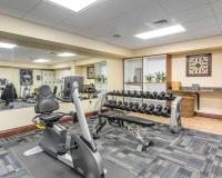 Bluegreen Vacations Patrick Henry Sqr, Ascend Resort Collectionにあるフィットネスセンターまたはフィットネス設備