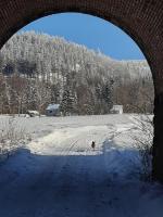 Gospodarstwo Zacisze-Alpaki v zime