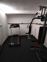 Fitness centrum a/nebo fitness zařízení v ubytování Pension Lukas