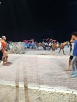 Hosté ubytování Une maison houmt souk djerba