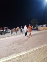 Hosté ubytování Une maison houmt souk djerba