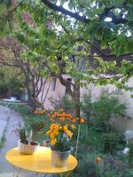 a yellow table with flowers on it in a garden at La Ferme de Thoudiere in Saint-Étienne-de-Saint-Geoirs