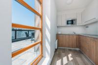 Kuchyň nebo kuchyňský kout v ubytování Horský Apartmán Říčky