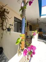 Zahrada ubytování Maavaharu Guest House Himmafushi