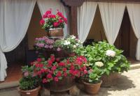 Zahrada ubytování Casa Rural Valle Tosande
