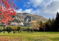 a picnic table in a field with a mountain in the background at Glamping at Camping La Source in Saint-Pierre-dʼArgençon