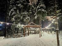 Borovets Villa Park studio v zimě