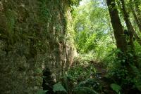 A garden outside O Muiño de Pena