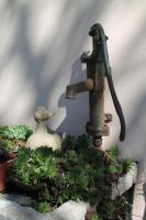 A garden outside Agriturismo Le Clementine