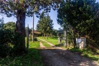 A garden outside Villa Bel Giardino