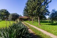 A garden outside Villa Bel Giardino