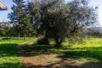 A garden outside Villa Bel Giardino