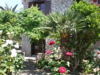 A garden outside Islands Apartments