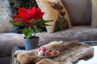 Posedenie v ubytovaní Livadi cozy villa