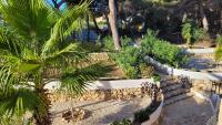 A garden outside Casa Caledonia - Appartement dans villa avec jardin arboré et piscine à 500 M de la mer