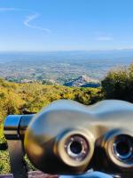 ホステルの近くで見られる自然の景観
