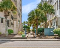eine Straße mit Palmen vor einem Gebäude in der Unterkunft Cozy Beachside Bungalow Studio Ideal for Couples in Myrtle Beach