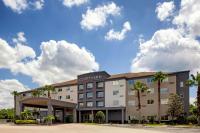 un hotel con palmeras en Courtyard Tampa Oldsmar, en Oldsmar
