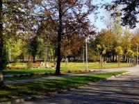 Zahrada ubytování Hotel Krystyna