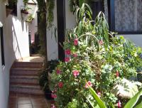 Zahrada ubytování Mediterranean holiday home with small patio-terrace