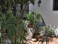 Zahrada ubytování Mediterranean holiday home with small patio-terrace