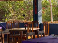 En have udenfor Kilwa Dreams by Seaside