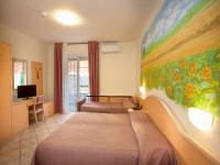 Televízia a/alebo spoločenská miestnosť v ubytovaní Hotel Sileoni