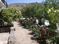 A garden outside Islands Apartments