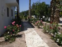 A garden outside Islands Apartments