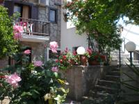 A garden outside Islands Apartments