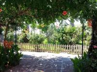 A garden outside Islands Apartments