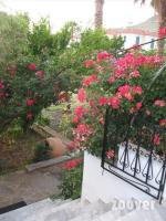 A garden outside Islands Apartments