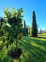 A garden outside Agriturismo Le Grotte
