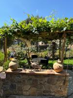 A garden outside Il Vicolo Palinuro